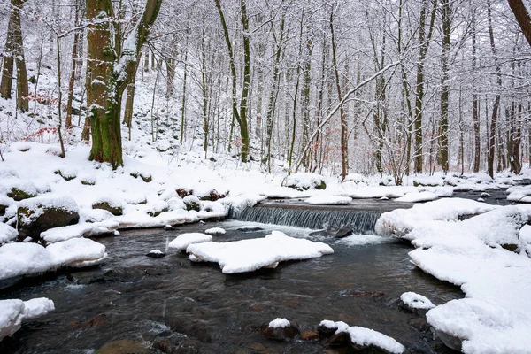 Fluxo Água Floresta Inverno Árvores Costa Coberta Neve — Fotografia de Stock