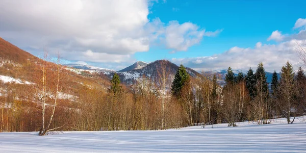 山の中の晴れた冬の風景 雪の上の白樺林の牧草地覆われた 鮮やかな青い空に雲が — ストック写真