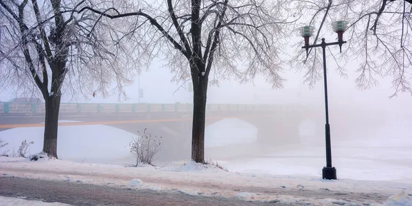 Alberi Sul Terrapieno Coperto Neve Paesaggio Urbano Invernale Più Lungo — Foto Stock