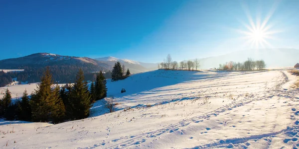 冬季的山地乡村风景 多冷的阳光灿烂的一天 雪地上的树木覆盖着群山 — 图库照片