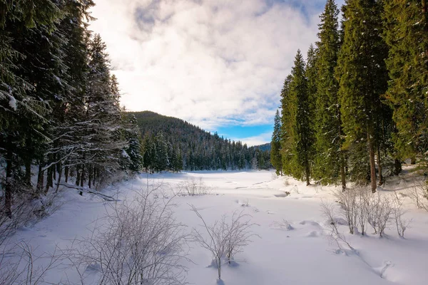 雪が森の中の山の湖を覆っていた 海岸にある緑のトウヒの木 天気がいい 空の雲 — ストック写真