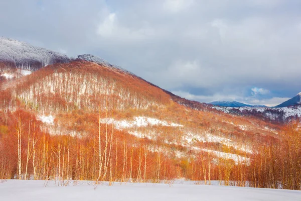 Parc Naturel Uzhanian Dans Les Montagnes Enneigées Beaux Paysages Naturels — Photo