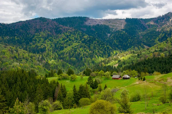 Berglandschaft Frühling Wald Und Obstgarten Auf Den Steilen Hügeln Landschaft — Stockfoto