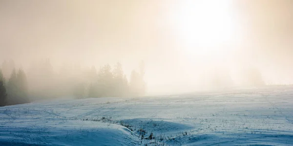 Śnieżyca Górach Magiczne Krajobrazy Chmurami Mgłą Słoneczny Zimowy Poranek Drzewa — Zdjęcie stockowe
