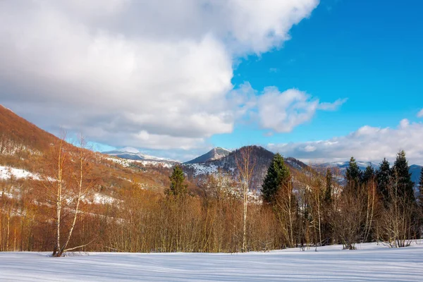 Paysage Montagne Hiver Forêt Sur Les Collines Enneigées Nuages Sur — Photo