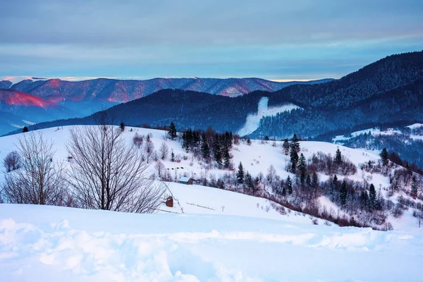 Paisaje Montaña Invierno Amanecer Árboles Campos Colinas Cubiertas Nieve Cresta —  Fotos de Stock