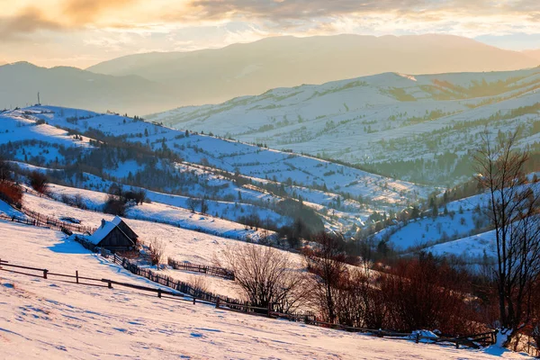 Ländliche Winterlandschaft Bei Sonnenaufgang Bäume Und Felder Auf Schneebedeckten Hügeln — Stockfoto