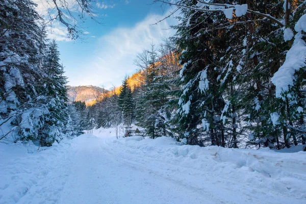 Kış Mevsiminde Synevyr Ulusal Parkı Ndan Geçen Yol Ağaçlar Patika — Stok fotoğraf