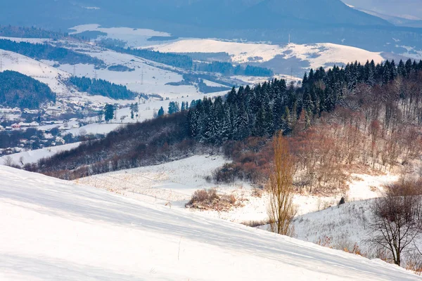 Kışın kırsal alanda. Tepedeki ağaçlar karla kaplı. Karpatya dağlarının güzel manzarası. Uzak vadideki köy. harika soğuk ve güneşli hava, gökyüzünde bulutlar