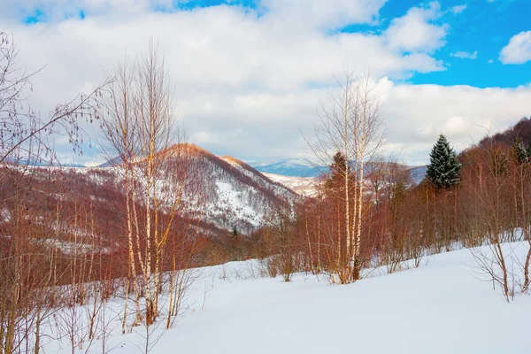 Parc Naturel Uzhanian Dans Les Montagnes Enneigées Beaux Paysages Naturels — Photo