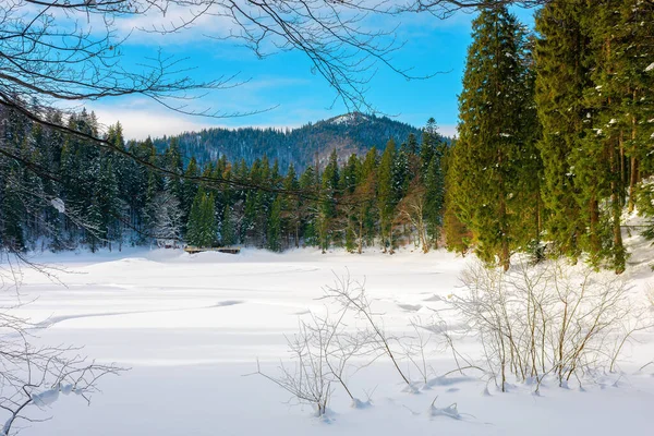 Fryst Fjällsjö Bland Granskog Vackert Vinterlandskap Solig Dag — Stockfoto