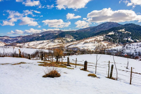 晴れた冬の日に山間部の田園風景 雪に覆われた丘陵地帯の畑や木です 空にふわふわの雲 美しいカルパチアの風景 — ストック写真