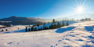 Kışın dağlık kırsal alan. Harika, dondurucu, güneşli bir gün. Karla kaplı tepelerde ağaçlar.