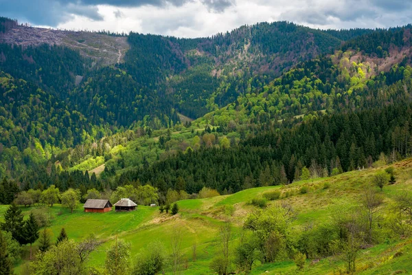 Berglandschaft Frühling Wald Und Obstgarten Auf Den Steilen Hügeln Landschaft — Stockfoto