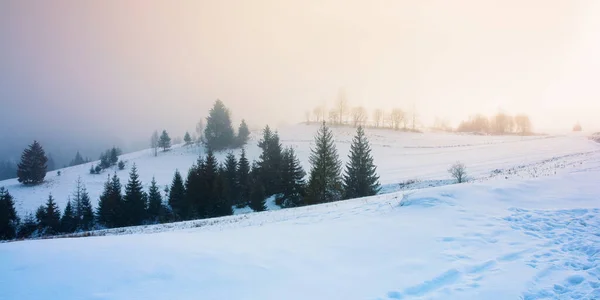 Mistig Landschap Bij Dageraad Prachtig Landelijk Landschap Winter Bomen Besneeuwde — Stockfoto