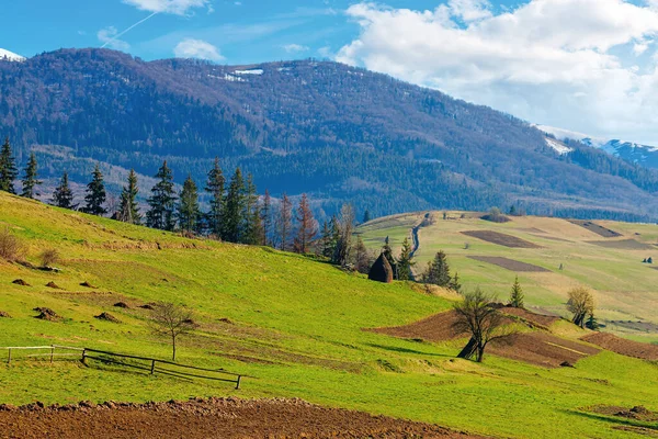 Paysage Rural Montagneux Printemps Champs Arbres Sur Les Collines Ondulantes — Photo