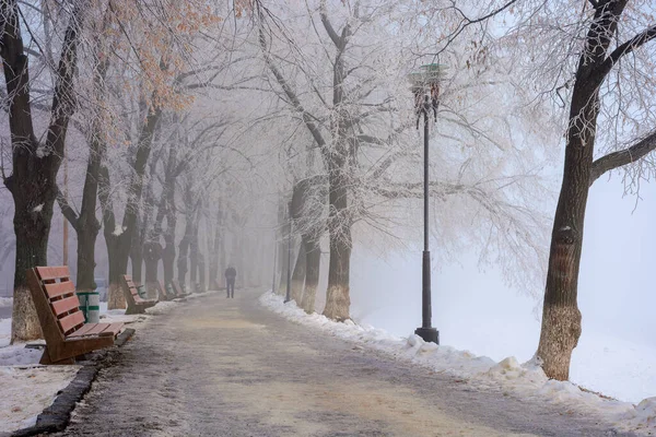 Arbres Dans Brume Par Matin Givré Paysages Urbains Merveilleux Hiver — Photo