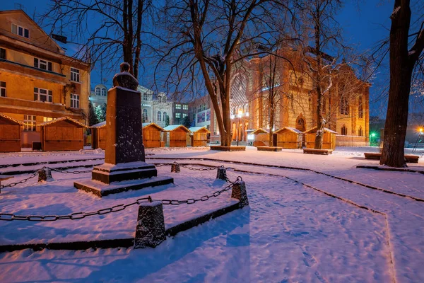 Uzhhorod Ukraine Dez 2016 Winterliches Stadtbild Morgengrauen Wunderschöne Landschaft Park — Stockfoto