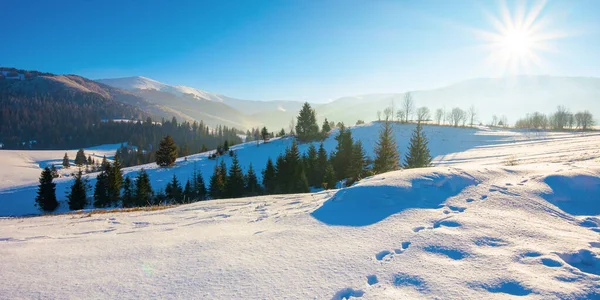 Горный Сельский Пейзаж Зимой Прекрасный Морозный Солнечный День Деревья Заснеженных — стоковое фото
