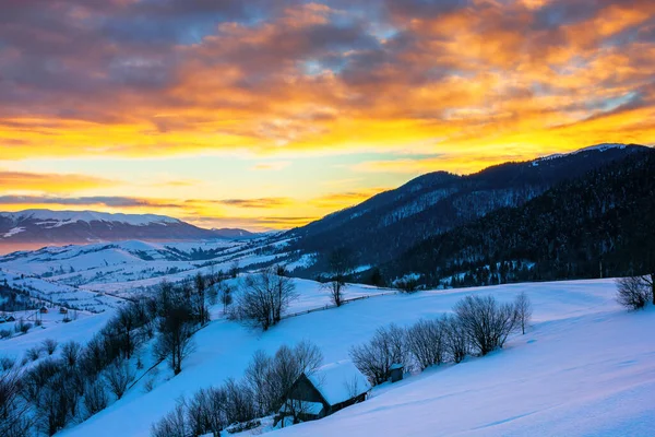 Winterlandschaft Den Bergen Bei Sonnenaufgang Schöne Ländliche Gegend Der Karpaten — Stockfoto