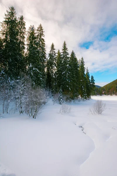 Fryst Fjällsjö Bland Granskog Vackert Vinterlandskap Solig Dag — Stockfoto