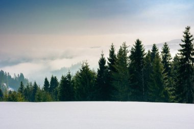 Dağ manzarasında kar fırtınasına yaklaşıyoruz. Karlı çayırlarda çam ağaçları. Kışın kötü hava koşulları. Sis ve bulutlar uzak vadide