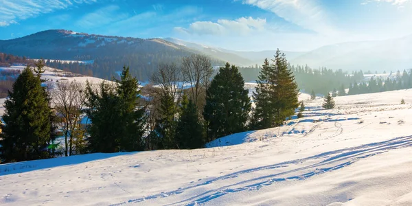 Bergige Ländliche Landschaft Winter Herrlich Frostiger Sonniger Tag Bäume Auf — Stockfoto