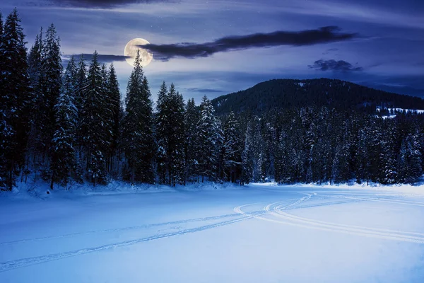 Lago Montaña Congelado Entre Bosque Abetos Por Noche Hermoso Paisaje — Foto de Stock