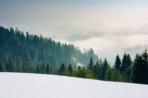 Blížící Bouřka Horské Krajině Smrkové Stromy Zasněžené Louce Špatné Počasí — Stock fotografie