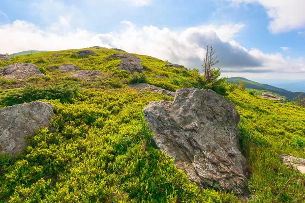 Grande Paisagem Alpina Verão Beleza Cores Verde Azul Natureza Cenário — Fotografia de Stock