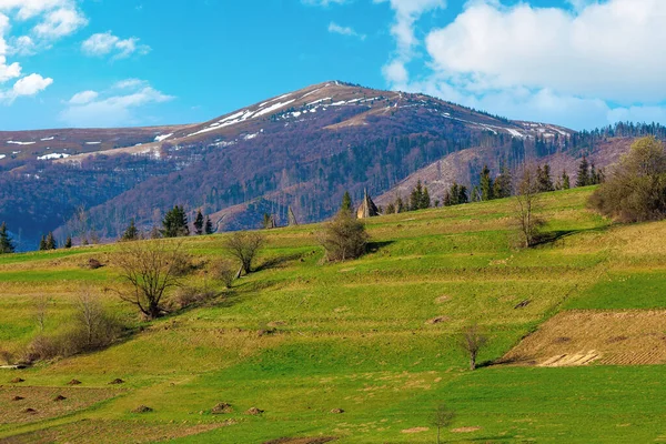 Platteland Heuvel Het Voorjaar Besneeuwde Berg Verte Prachtig Karpaten Landschap — Stockfoto