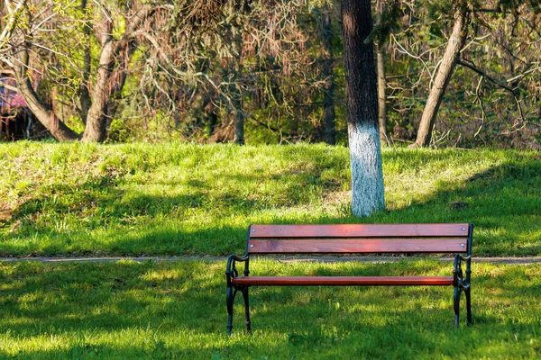 公园里空的木制长椅 春天或夏天的晴天 草坪上的绿草 放松概念 — 图库照片