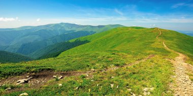 Aydınlık bir bahar gününde dağ manzarası. Tepedeki çimlerin arasındaki çayırda bir patika. Gökyüzünde kabarık bulutlar olan harika bir hava. Karpatların borzhava sırtı