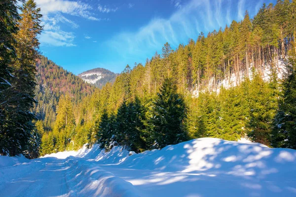 Zimní Krajina Synevirském Národním Parku Krásná Přírodní Scenérie Jedlemi Podél — Stock fotografie