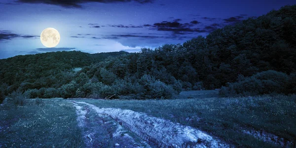 Földút Erdős Vidéken Éjszaka Gyönyörű Nyári Vidéki Táj Hegyekben Kaland — Stock Fotó