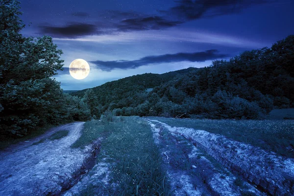 Chemin Terre Travers Campagne Boisée Nuit Beau Paysage Rural Été — Photo