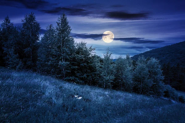 Stromy Kopci Letní Scenérii Noci Krásná Horská Krajina Úplňku Světlo — Stock fotografie