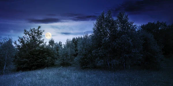 Stromy Kopci Letní Scenérii Noci Krásná Horská Krajina Úplňku Světlo — Stock fotografie