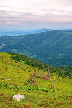 Karpatya yaz dağı manzarası. Çimenli tepesinde kaya olan güzel bir kırsal bölge. Uzaktaki vadiye bak. Mavi gökyüzündeki bulutlar