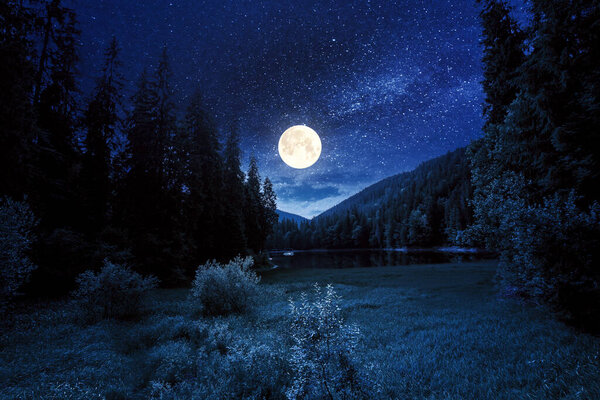 Mountain lake landscape in summer at night. beautiful scenery of synevyr national park. body of water among the forest in full moon light. great view and amazing attarction of carpathian nature