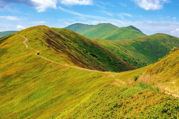 Borzhava Sırtına Giden Yol Karpat Dağları Nın Güzel Yaz Manzarası — Stok fotoğraf