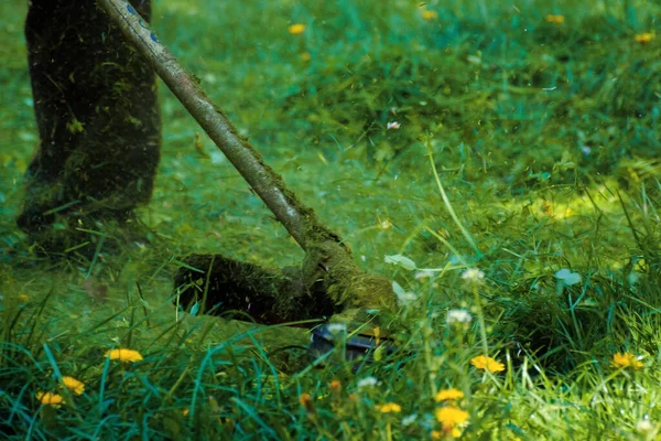 Sekání Svěží Zelené Trávy Parku Krásné Přírodní Pozadí Probíhají Práce — Stock fotografie