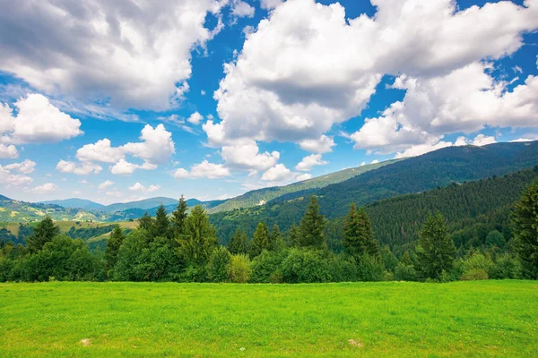 喀尔巴阡山脉的乡村风景 夏天的自然景观 草地上有树木 明亮蓝天上的蓬松的云彩 美丽的景色映入遥远的山川 — 图库照片