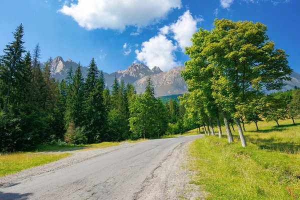 柏油路穿过森林覆盖的山区 美丽的农村交通背景 复合景观与高的塔瓦山脊在远处 夏天阳光灿烂的天气 — 图库照片