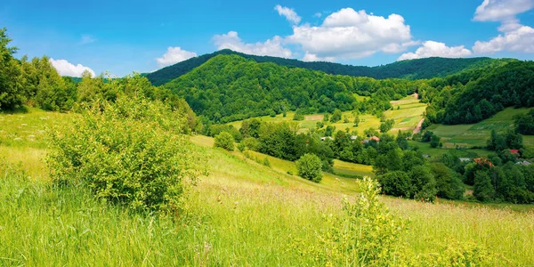 Paisaje Rural Los Cárpatos Ucranianos Hermoso Paisaje Verano Las Montañas — Foto de Stock