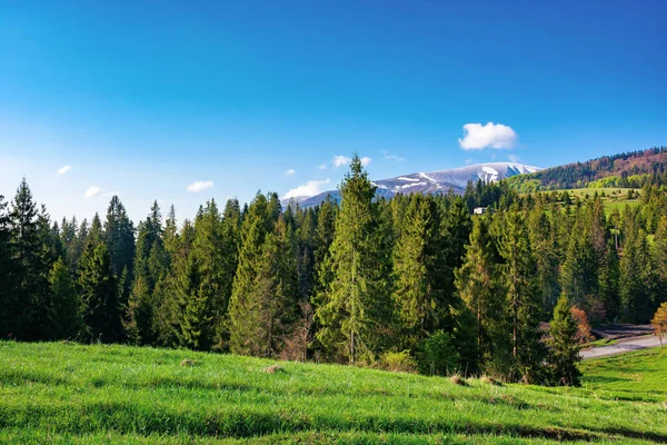 Landskap Morgonen Vackert Bergslandskap Våren Soligt Väder Med Fluffiga Moln — Stockfoto