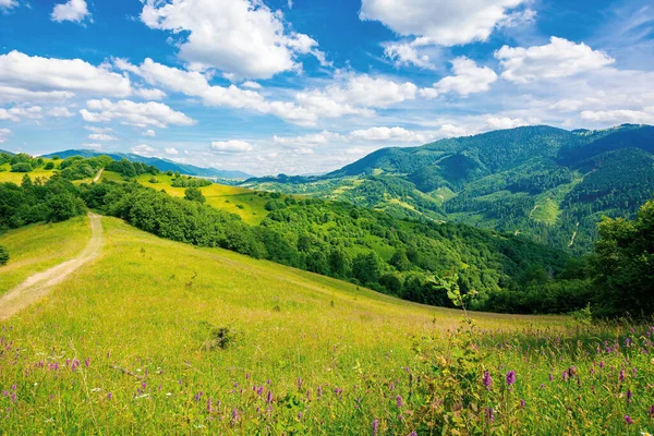 Strada Attraverso Pascolo Sulla Collina Estate Bellissimo Paesaggio Rurale Montagne — Foto Stock