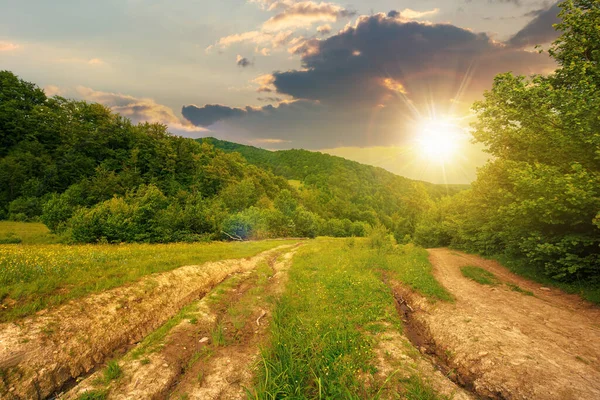 Estrada Terra Através Campos Arborizados Pôr Sol Bela Paisagem Rural — Fotografia de Stock