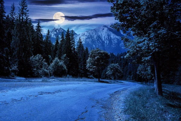 Asphaltstraße Durch Bewaldete Berge Der Nacht Schöne Landschaft Transport Hintergrund — Stockfoto