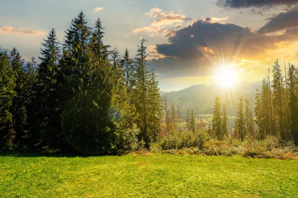 Venkovská Krajina Tatrách Při Západu Slunce Smrkové Stromy Zelené Travnaté — Stock fotografie